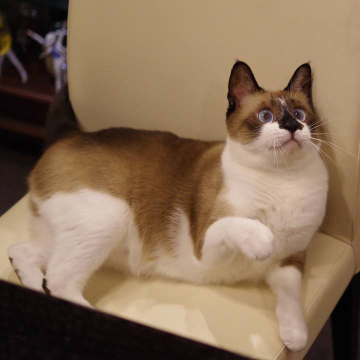 Caff86c4 b4f5 4af0 9319 a4364da8fa83