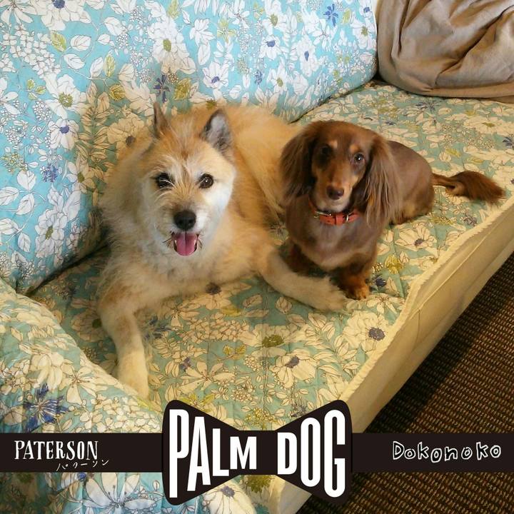 Cb00327d 50c3 485b b5a8 b27341b13e76