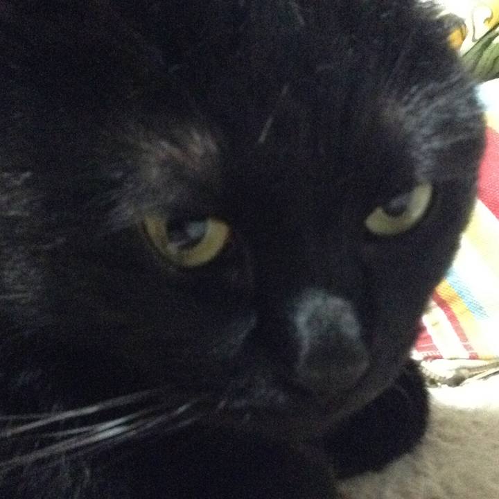 Cb0067eb 6448 4a12 9042 6cd11926df81