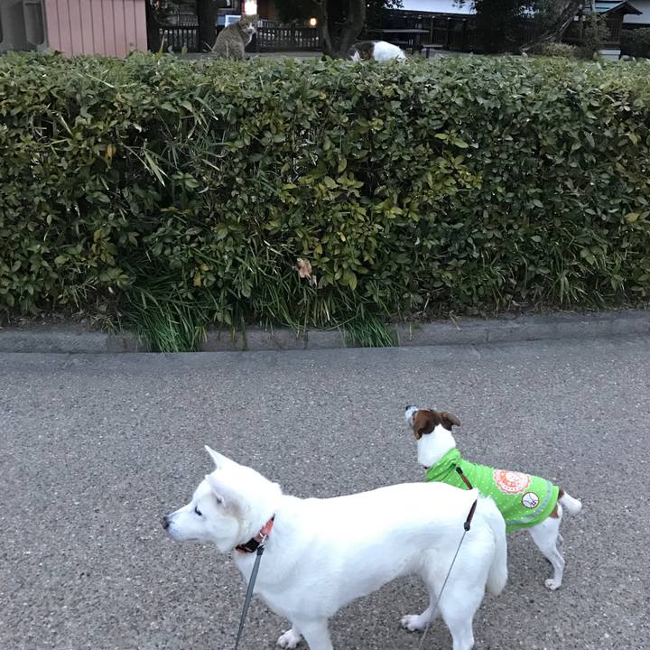 Cb01ae3e 0388 4857 869a 10a4a2f21d9a