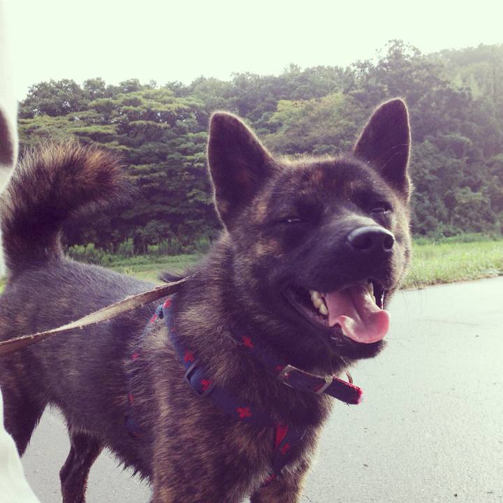 Cb020a95 2d4e 45f6 838e 63b5844eb637