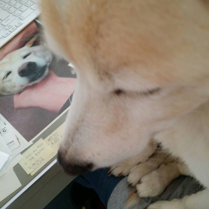 Cb02614c 5b09 4645 b6d7 df3e93db6cc6