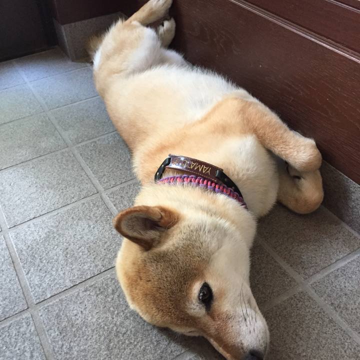 Cb029038 fb51 451c ac65 4d6083c24b1c