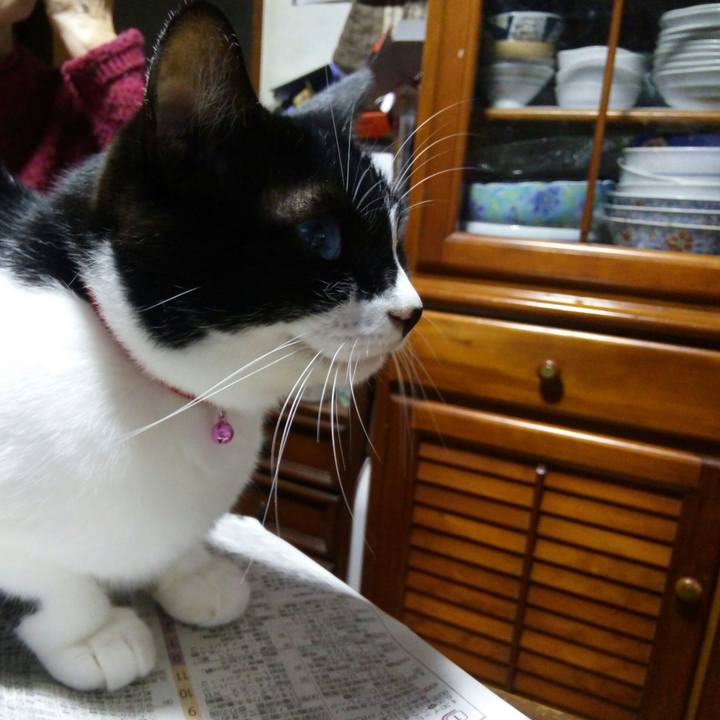 Cb02ff18 2ada 4d86 9625 8694cca0f034