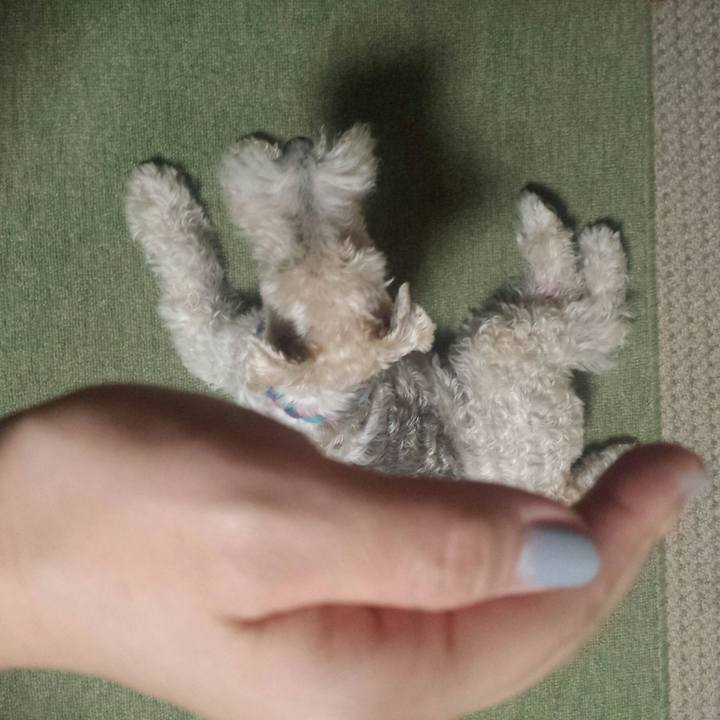 Cb040370 4e70 424a b60d 58c502235c17