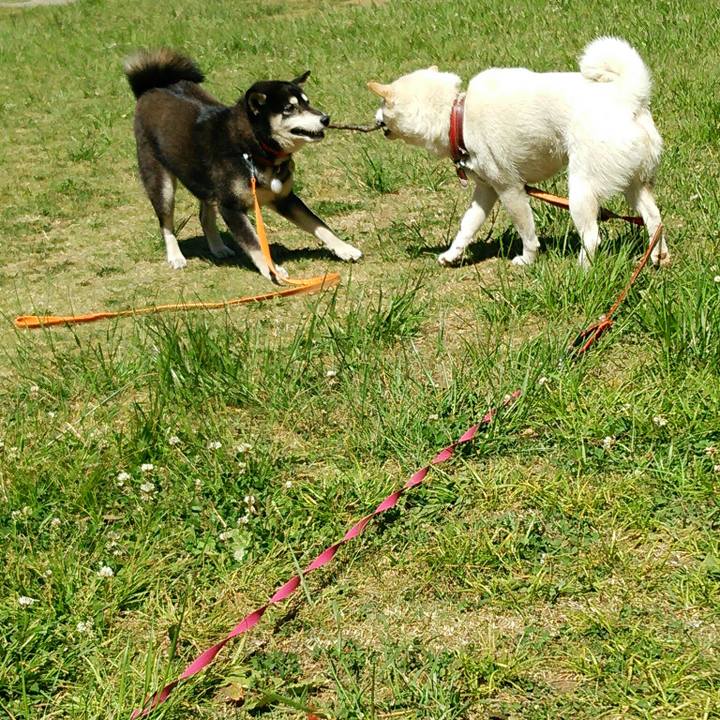 Cb045a3e 6802 45c1 96e0 7fddfff33d17