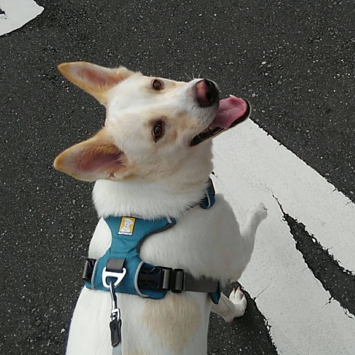 Cb0485c7 5d86 4544 81f2 b3e7c75ca4ad