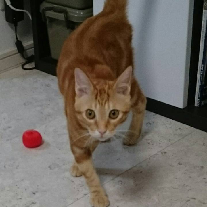 Cb04ebe5 976f 4778 b943 0d0e6f7bc499