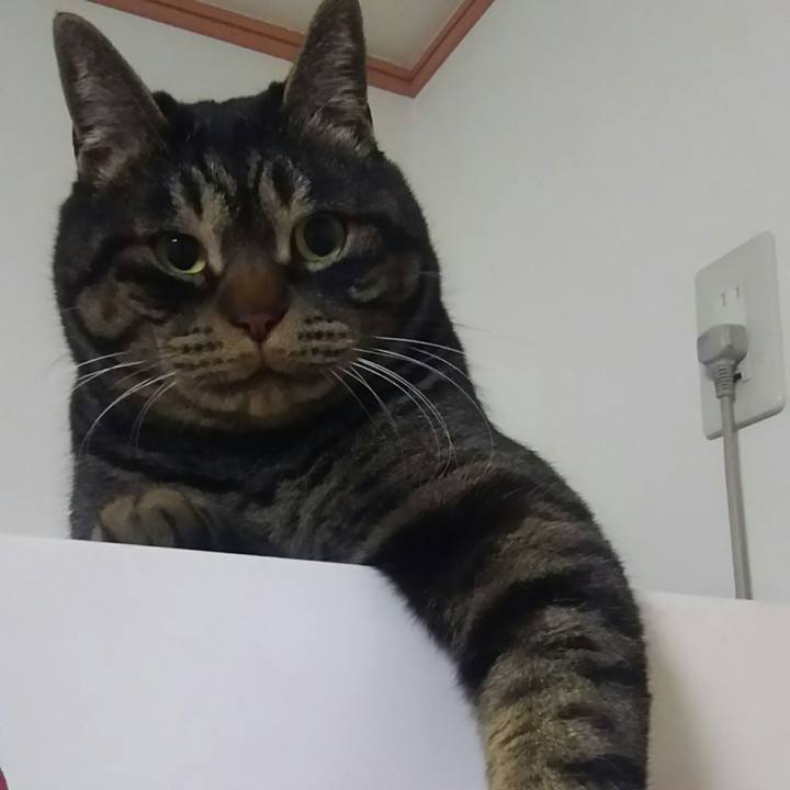 Cb05010f 0c0a 41ee a8a8 9cfbd37878a3