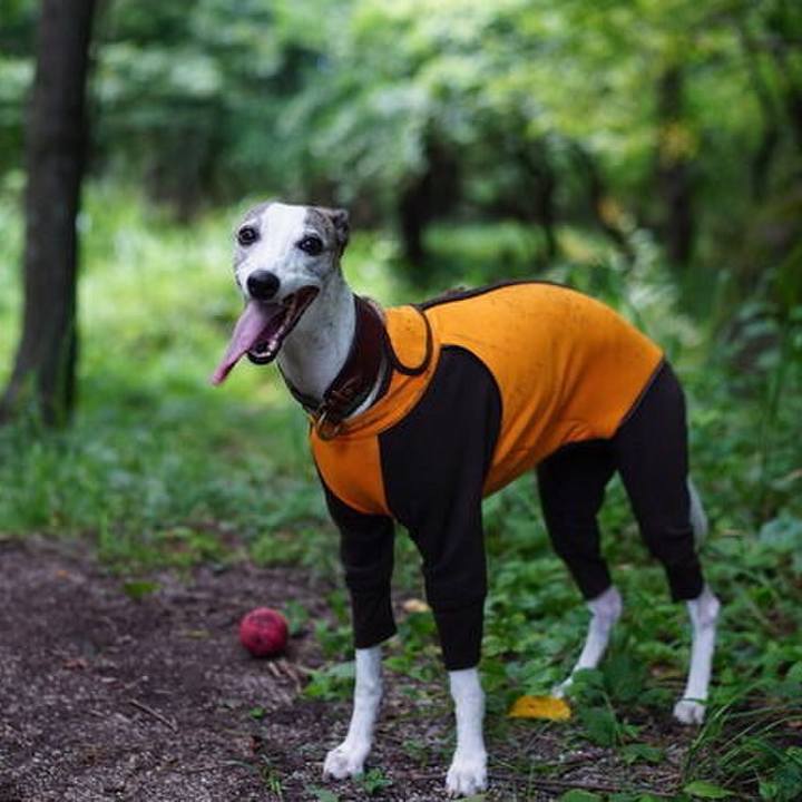 Cb051533 f4b1 418f a784 6eea3c678c7c