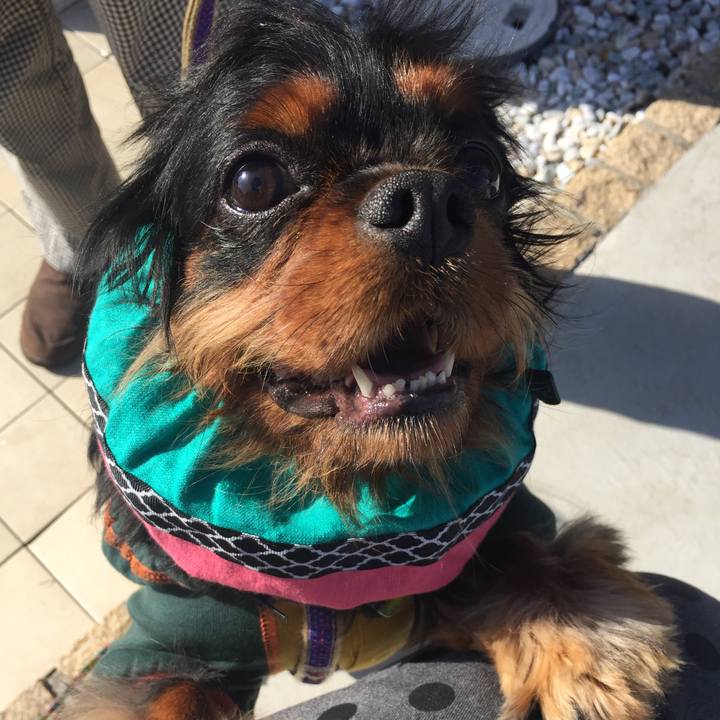 Cb05dc99 c515 46a4 a1fc 93c7b79c7a1f