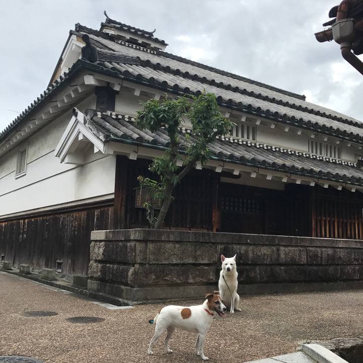 Cb05fafc 5608 429f abe2 1e0934e2f9e1