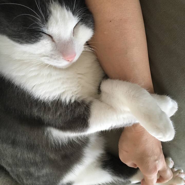 Cb06693c f653 43cc ad62 043f5d097e30