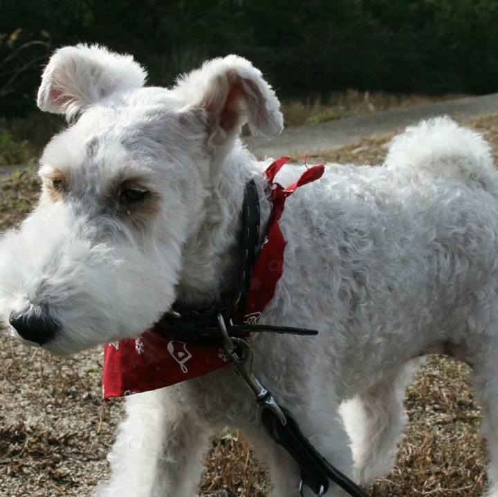 Cb069d2f 2b2f 4844 b2b5 5c6321963906