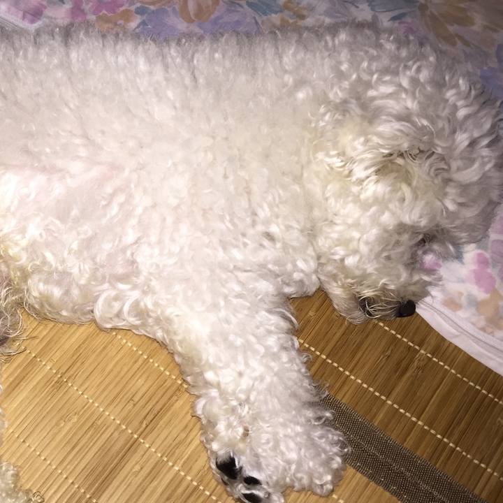 Cb073f64 201d 492b 9715 a1f902d33161