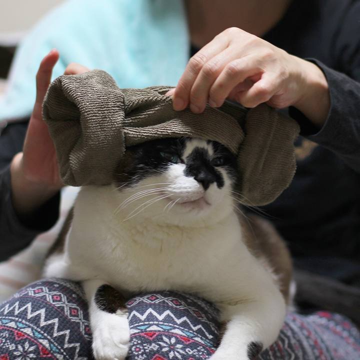 Cb0795b5 eb93 482d 96ed f2505ad50143