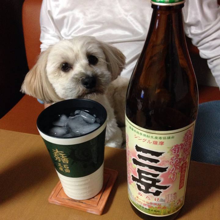 Cb087f91 3618 4a26 a6cf b636ef945cb0