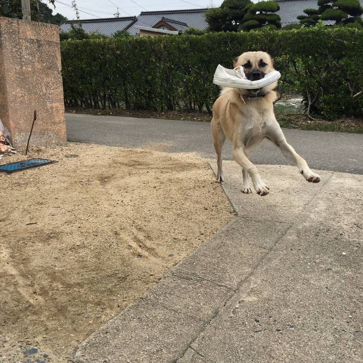 Cb08e19a b7aa 4ba9 8f3f 01aabd1c027a