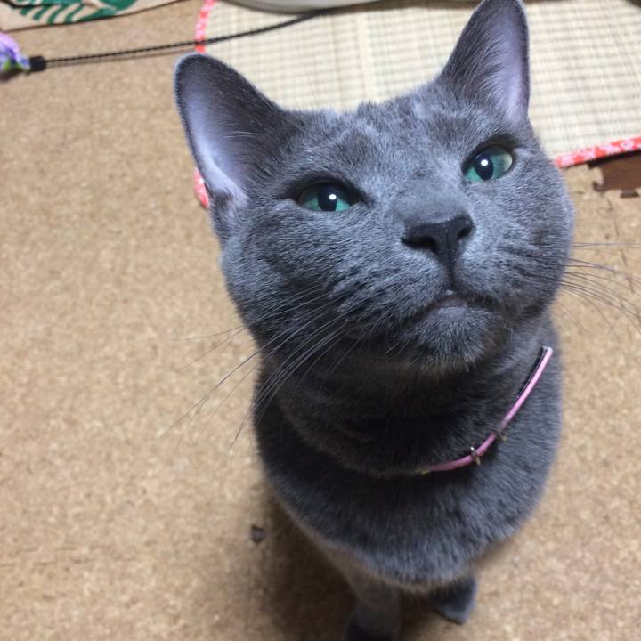 Cb09050a 9a82 48d1 81bc d1d0d8a8a4f8