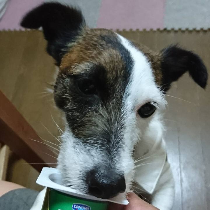 Cb09074c 948c 424c adae e3314962fdb4