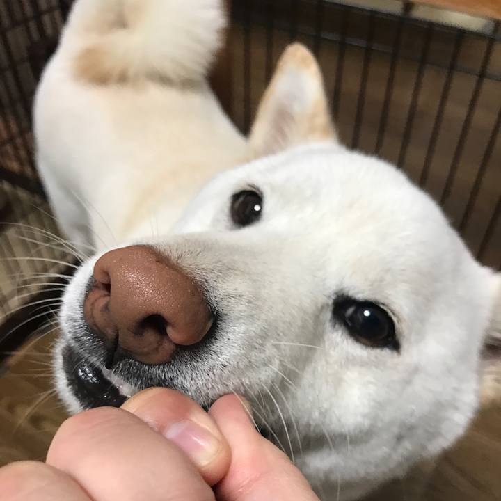 Cb095c51 870c 4781 9197 33d6e03ad4d2