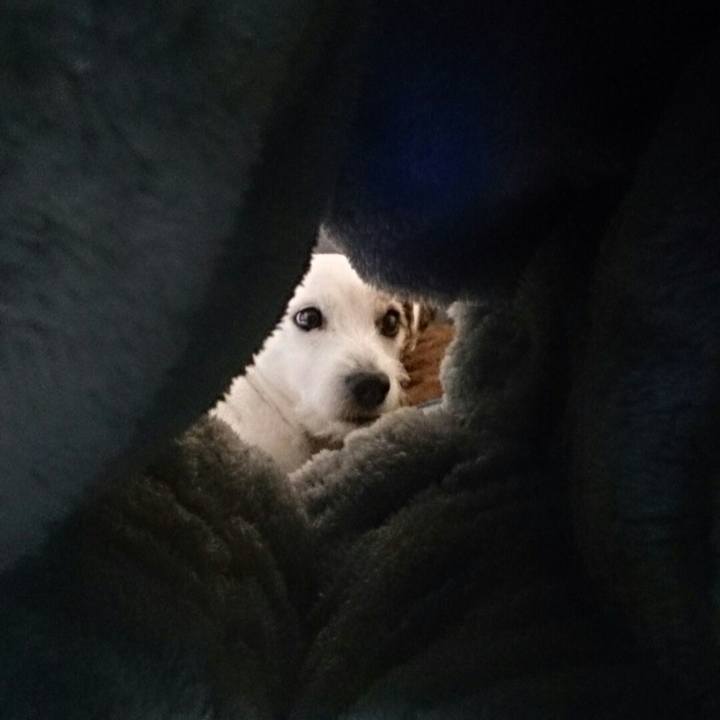 Cb0a26db 72f7 4d6c bf52 83b6d0be76ba