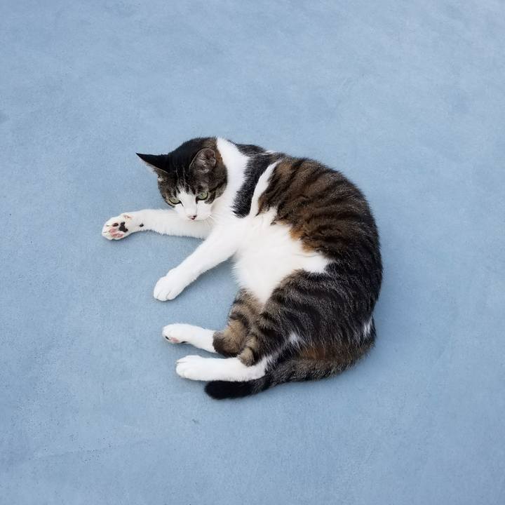 Cb0a3363 498e 47b9 b8a4 cd8060b03d3d