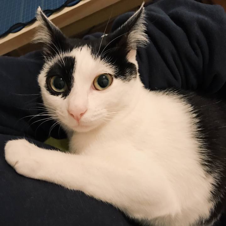 Cb0a9e47 7e65 435f a529 2c232cf98aad