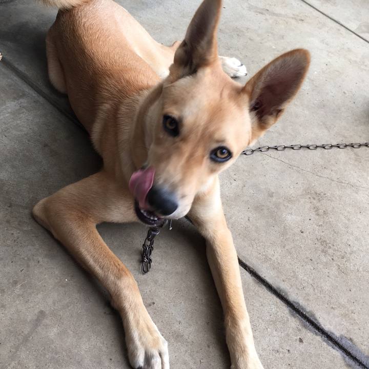 Cb0aa044 d0f6 41ef 93e5 ec1b7ae371b5