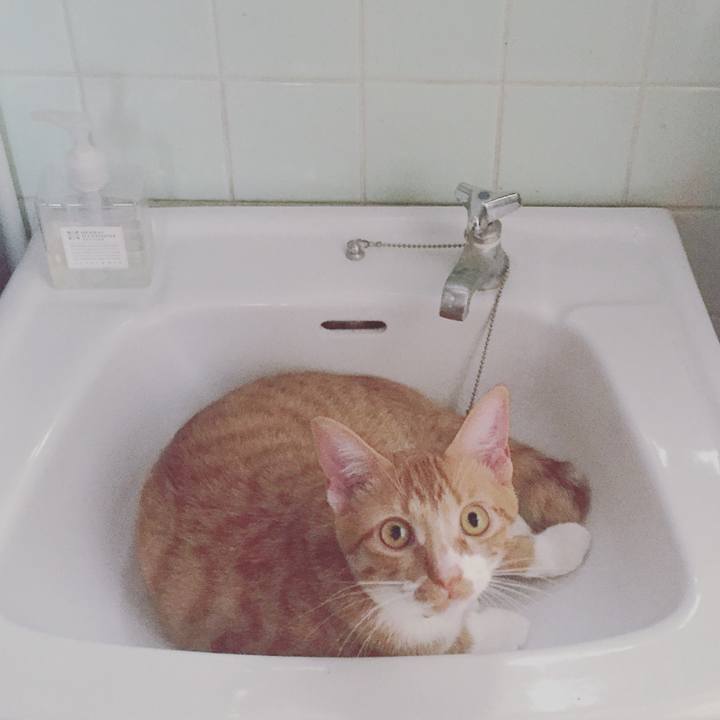 Cb0ac7e5 c636 4837 aa70 bb59b8206cf4