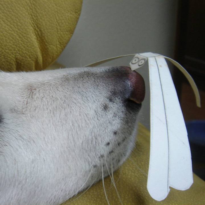 Cb0c36c7 bf02 4246 875e 0fb73eb86a45