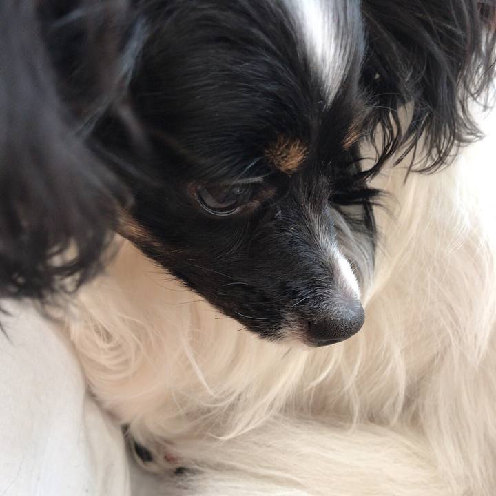 Cb0c7a77 d9ca 4dc0 91ed 44618ed730af