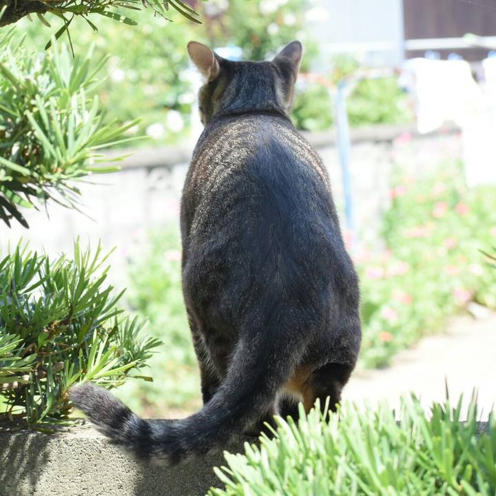 Cb0c88a5 9a37 4042 856d b5d277675e1c