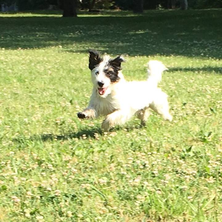 Cb0c8c3f 5c66 4ff6 b7c1 0beeb1eb1ecc