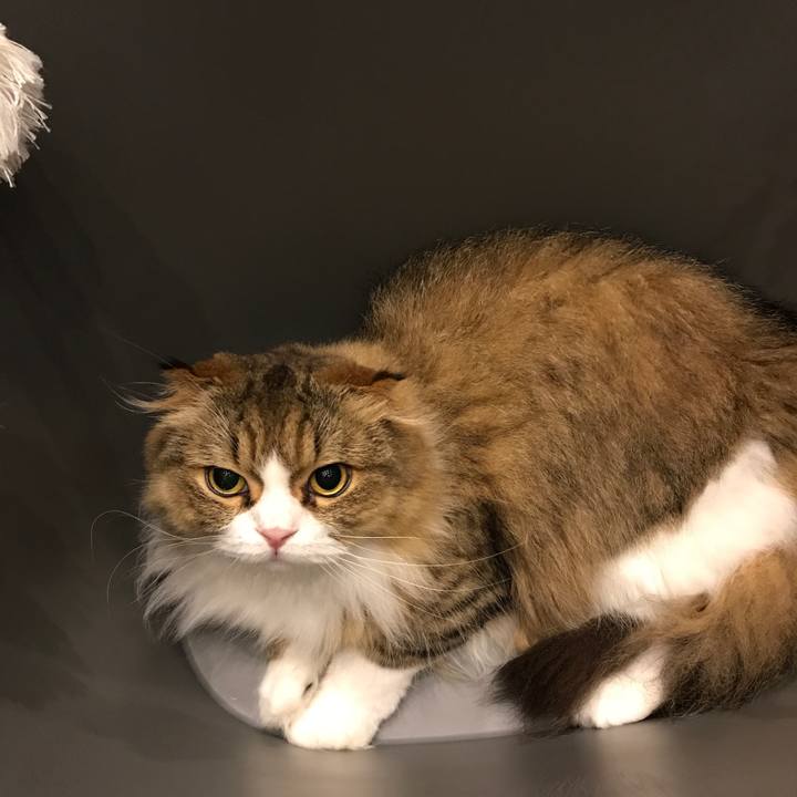 Cb0d04fc cd5f 4468 9f05 9293ff1ac81c