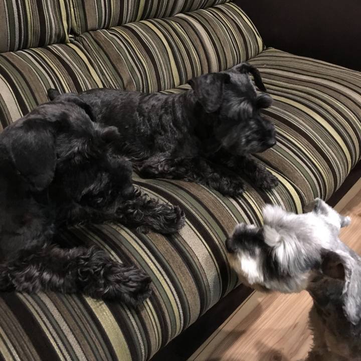 Cb0d095b 09fe 4d80 8bef fec44b546469