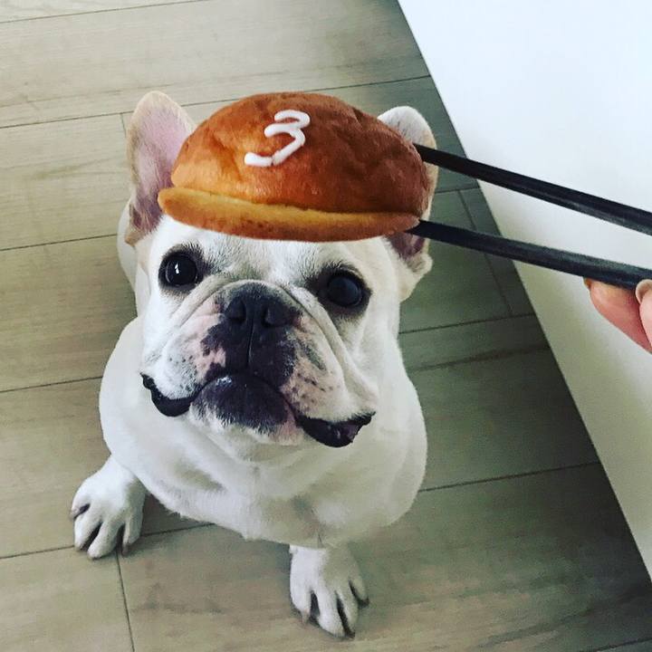 Cb0d7f44 26b3 4b82 9bf0 cd2de9565b69