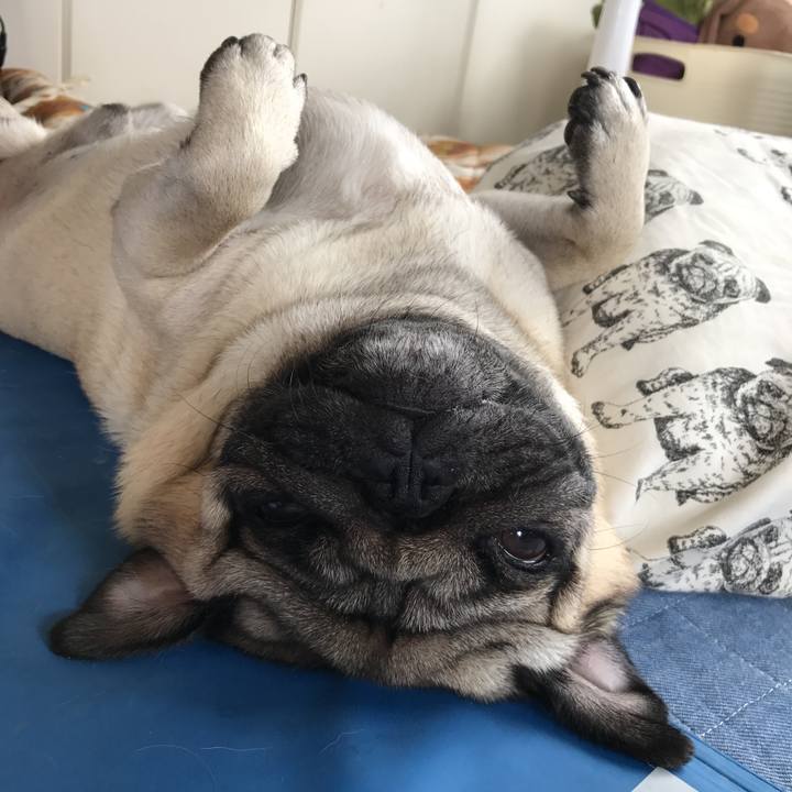 Cb0dbde7 4fab 4fbc b6f9 2e5135227126