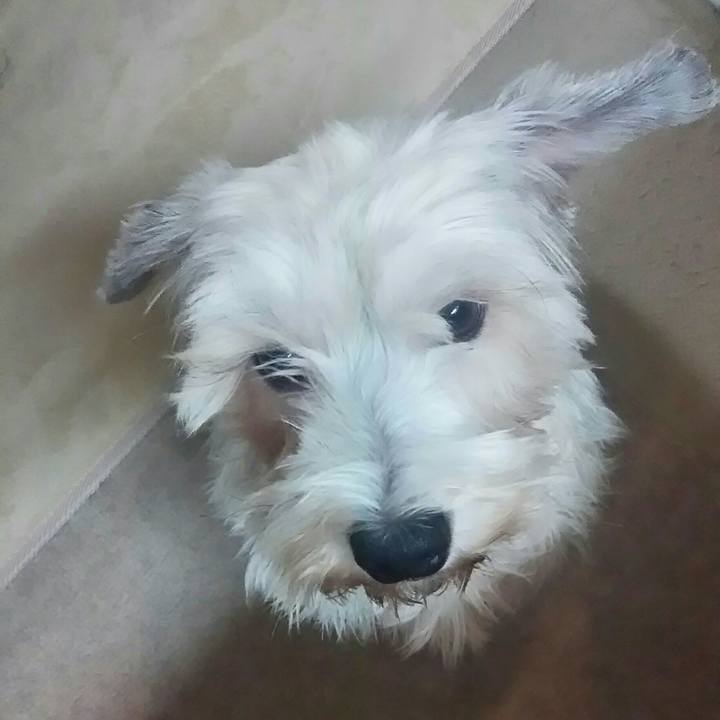 Cb0dbe95 a964 4b9a bf04 6e4383dfc66d