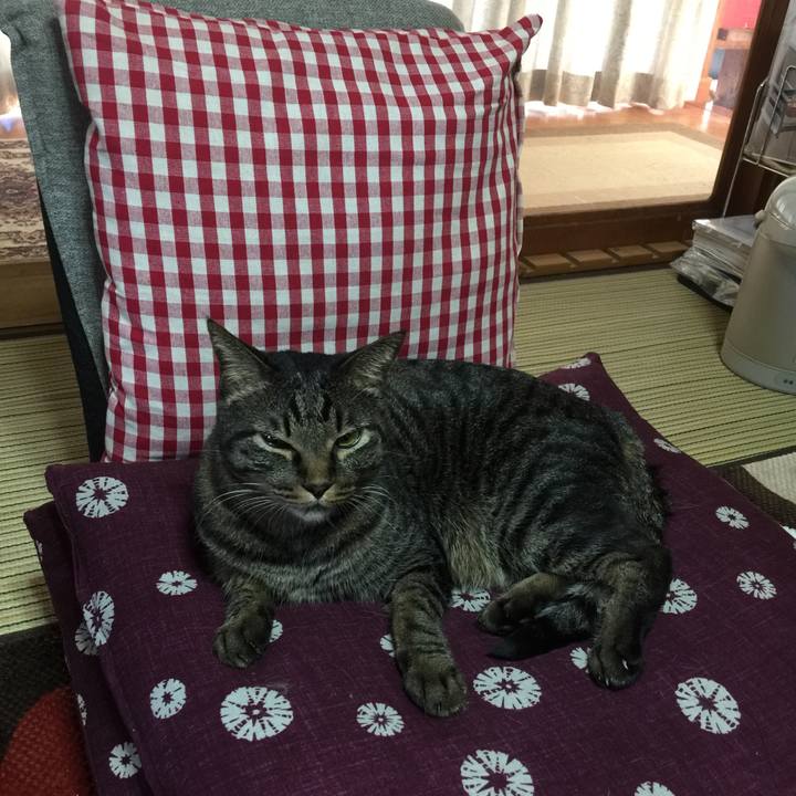 Cb0dcda4 0595 4cd7 93bb ee47687c1ce9