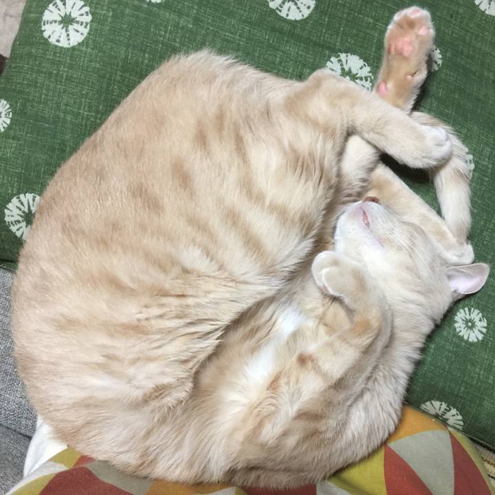 Cb0dd273 ea88 4906 b4d4 f3ade05d016e