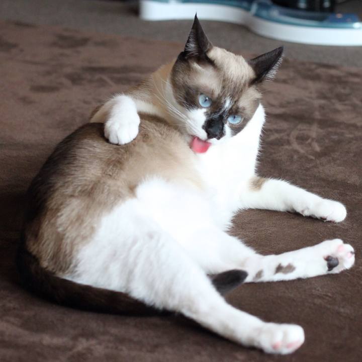 Cb0e5cee c645 4efd a479 8c2d79184dab