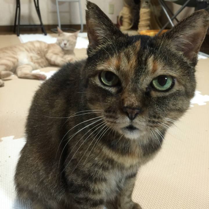 Cb102d3a 8890 4d35 9274 ccaf34174331