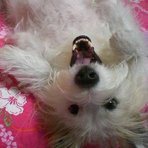 Cb103af1 de09 4587 ab62 21c7d6c4ec8a