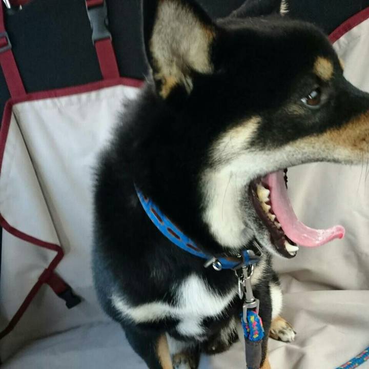 Cb10668f 9dc6 4156 88ec 43d4480ed452