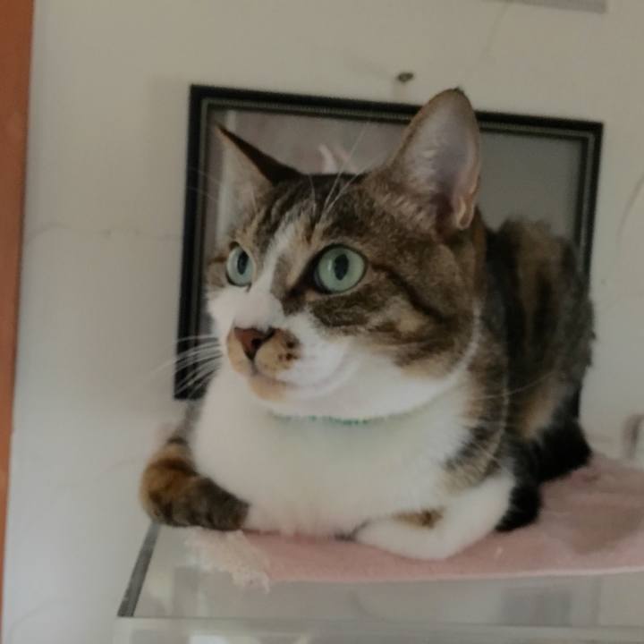 Cb10fa7f 1898 4982 bdc8 22be16f416c2