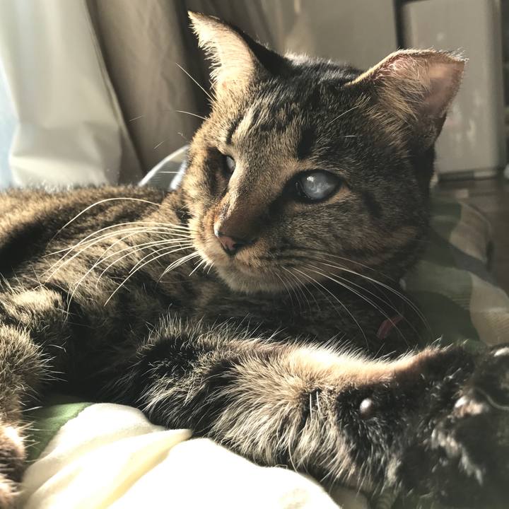 Cb1112c0 0bf5 48ae 8ae5 554c786b7cf4