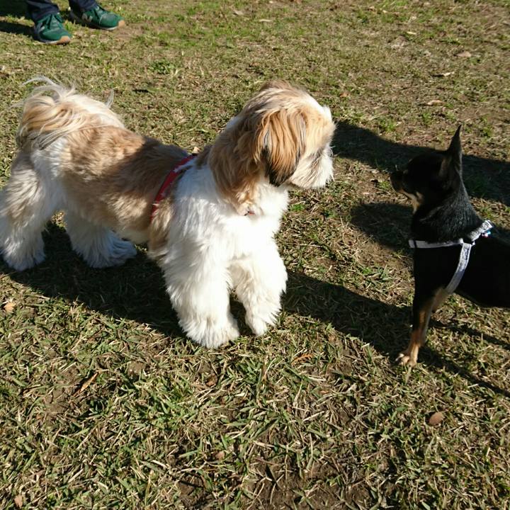 Cb11d8bc e0b5 4d2f a3c7 2a7986f349ab