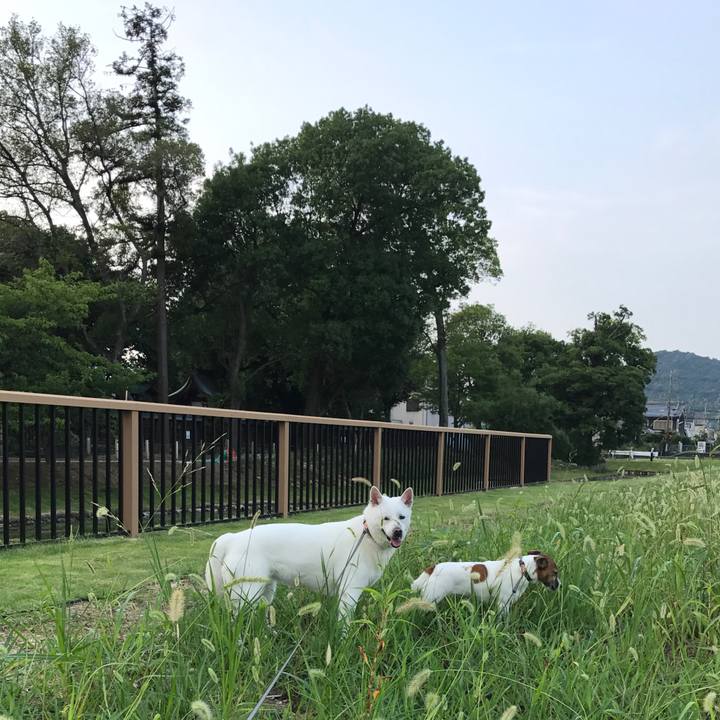 Cb11e584 204a 4273 a5fb d79df9109dcf