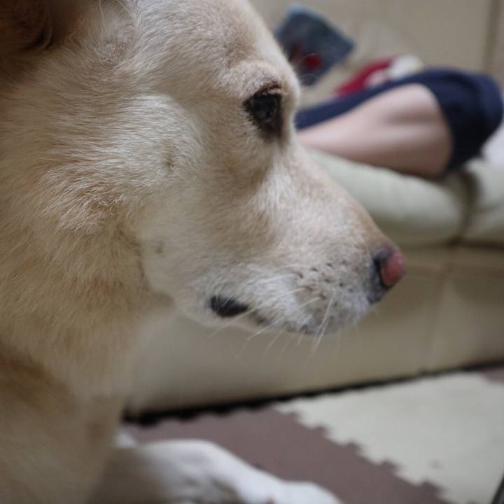 Cb12d257 c137 4513 ab93 7e86eb40dda4